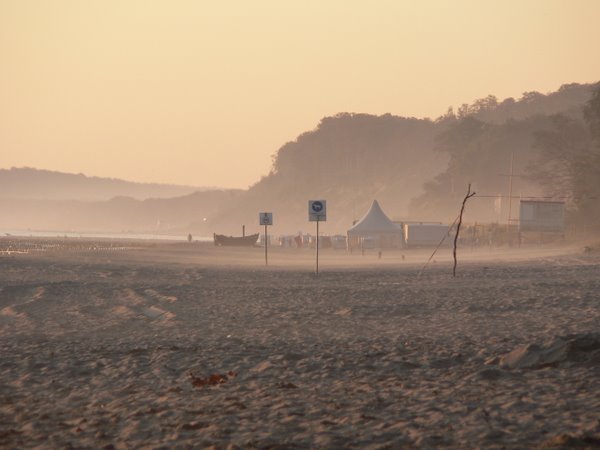 Ein Strand für Hunde auf Usedom